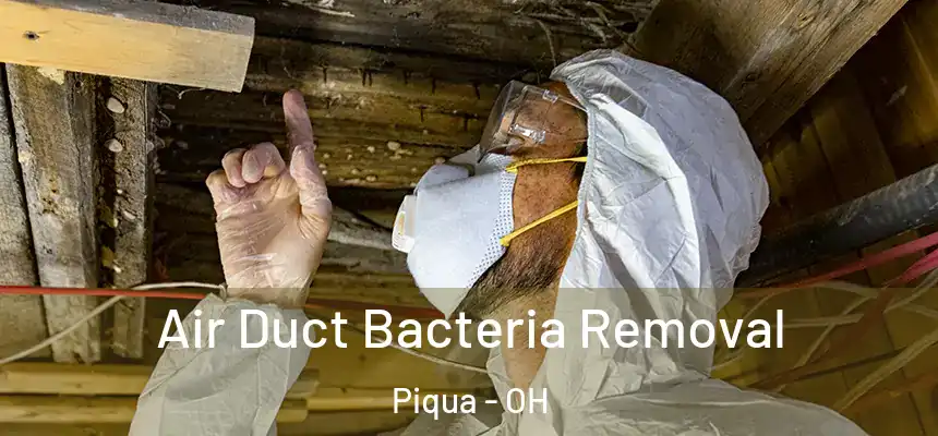 Air Duct Bacteria Removal Piqua - OH