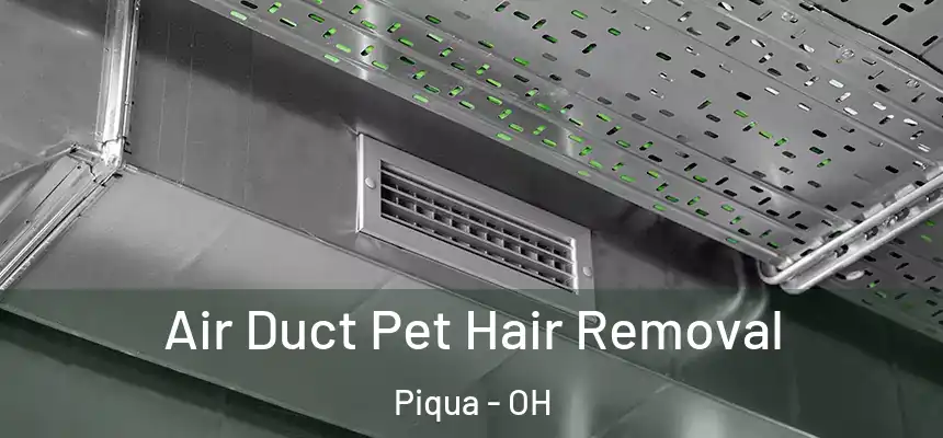  Air Duct Pet Hair Removal Piqua - OH