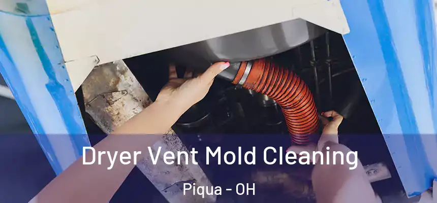  Dryer Vent Mold Cleaning Piqua - OH