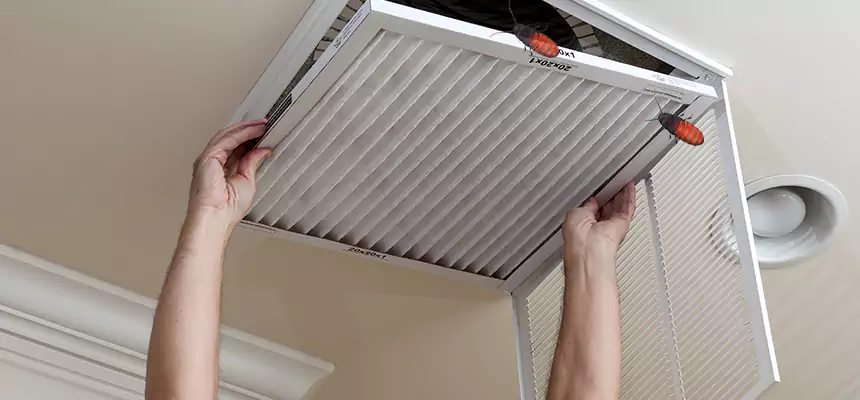 Preventive Cockroach-Proofing for Ducts in Piqua