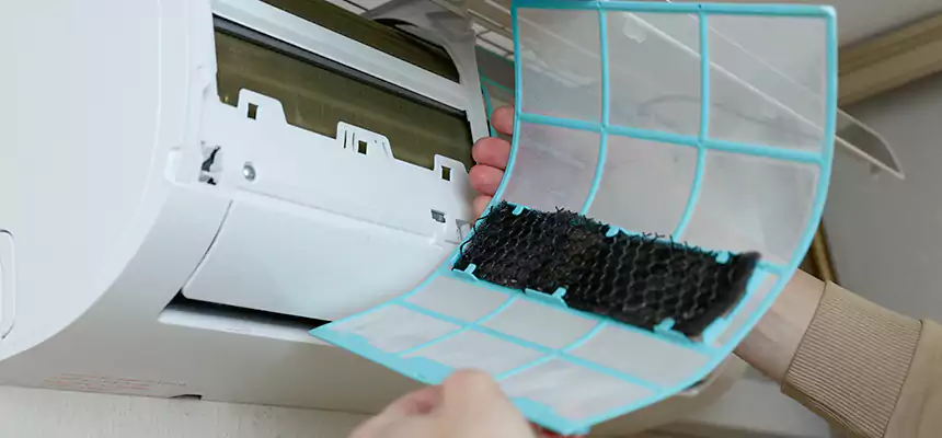 Gentle Ductwork Odor-Control Pet Dander Duct Cleaning in Piqua, OH