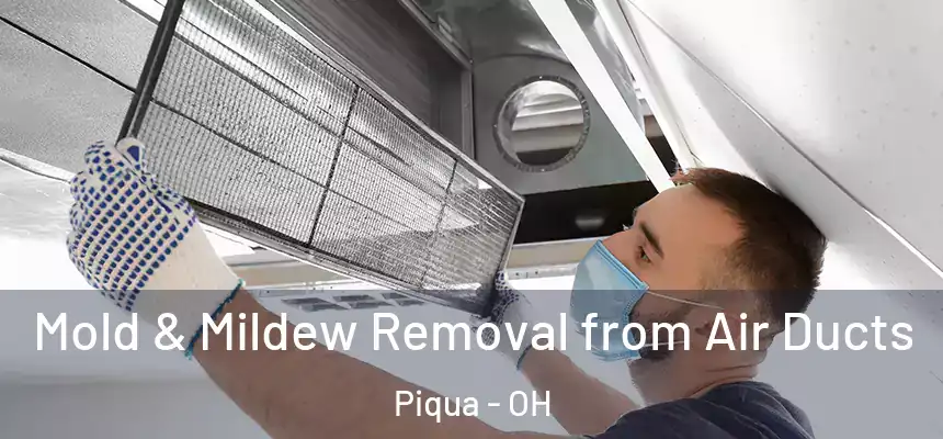  Mold & Mildew Removal from Air Ducts Piqua - OH