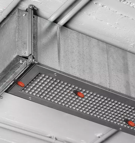 About Air Duct Cockroach Removal in Piqua, OH
