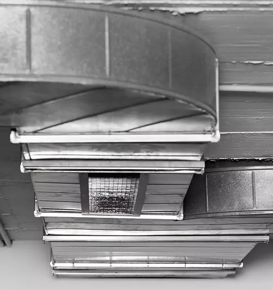 Professional Air Duct Pest Removal in Piqua, OH